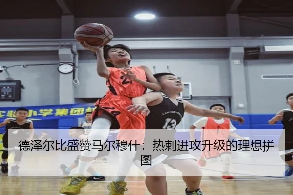 德泽尔比盛赞马尔穆什:热刺进攻升级的理想拼图